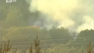 Голям пожар пламна в близост до софийски села
