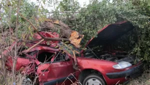 Пътищата взеха четири жертви за денонощие 