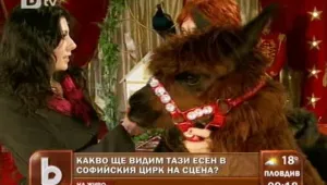 Приказни номера и нови животни ви очакват в софийския цирк