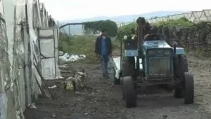 Земеделците доволни – получиха си обезщетенията за Ешерихия коли 