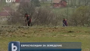 Въвеждат таван на субсидиите за земеделците
