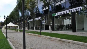 Показват 