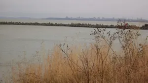 Kод 