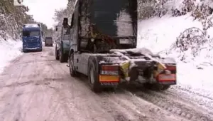 Шест области в страната бедстват заради лошото време