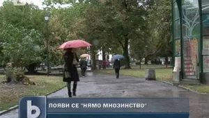 Имаме страх от анкети