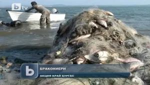 Бракониери ловят тонове риба от бургаско езеро, продават я в Румъния