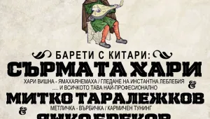 Барети с китари...