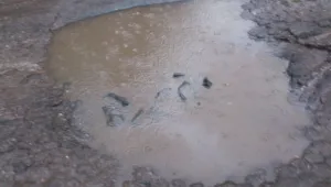 Варненските пътища в дупки след снеговете