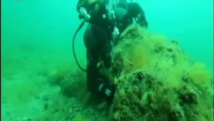 От отпуснати 1,4 млн. лева за морски проучвания, над половината - 