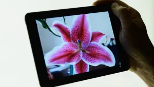 Apple пусна предварителните заявки за iPad mini и новия iPad