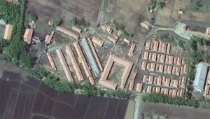 В севернокорейски лагери кучетата разкъсват деца, а убийствата се награждават