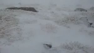 Първи сняг в страната, температурите падат