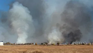 Пожар в промишлената зона на 