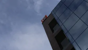 Свлачище събори дървета върху електропровод на ЧЕЗ