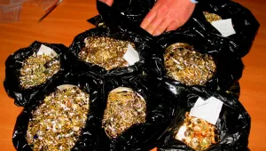 Митничари намериха златно съкровище в турски автобус