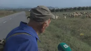 Овчар от Петричко е новият тотомилионер