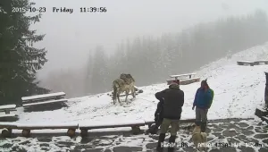 Първи сняг по планините