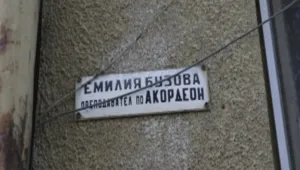 Възрастна жена на косъм от смъртта след побой във Видин