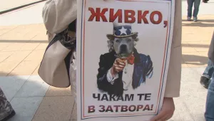 Защитници на животните поискаха затвор за убиец на котка