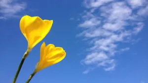Днес ще е слънчево и топло