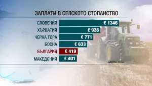 Криза за работници във фермите: На дъното сме по заплати в селското стопанство в ЕС 