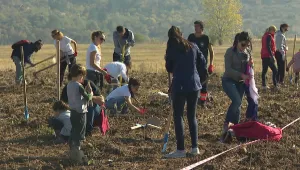 Започна засаждането на 