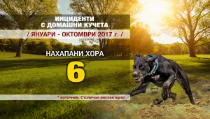 „Чети етикета”: Как да се справяме с опасните породи кучета?