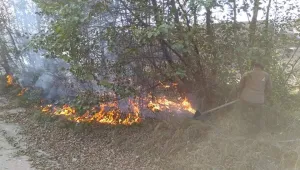 Пожар изпепели 3000 дка в Монтанско