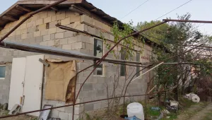 БАБХ спря дейността на незаконен развъдник, в който е родено кучето Рая