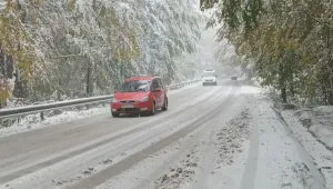 От 18 януари на Витоша ще е забранено за автомобили между 10 и 15 ч. 