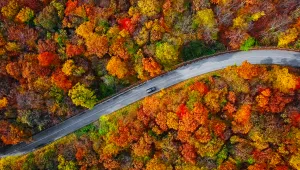 До 30 градуса в събота, ветровито в Източна България