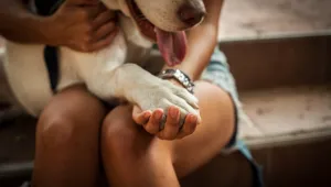 Отбелязваме Световния ден за защита на животните