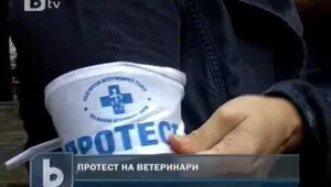 Ветеринарни лекари излязоха на протест в Добрич