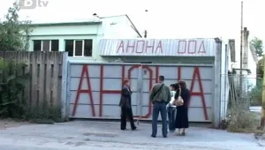 Хванаха 15 тона дупета, укрити в плевенска фирма