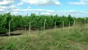 Броят и земеделските стопанства