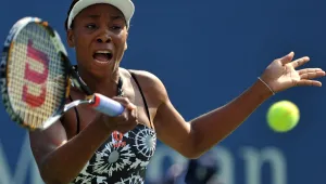 Винъс Уилямс разгроми Манди Минела на US Open