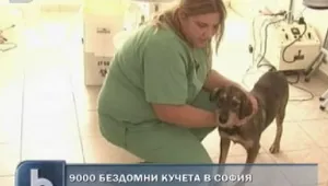 Нов приют ще приеме поне 1000 кучета в София