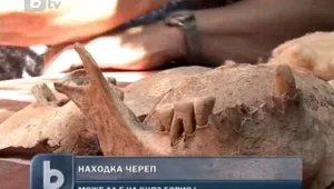 Даряват на Историческия музей във Варна предполагаемия череп на княз Борис Първи 