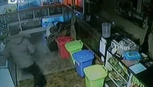 Арестуваха австралийски крадци, докато се бореха... с огромен питон