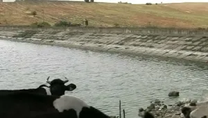 Тригодишно дете се удави в неохраняем водоем 