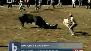 Разярен бик уби трима души в Колумбия