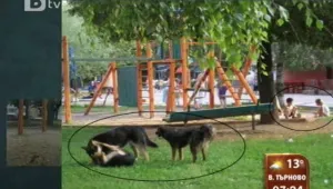 Събарят детска площадка заради мол