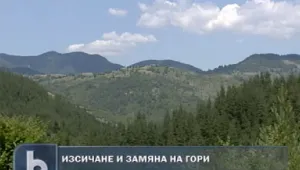  Нов закон ще разреши замяната на гори