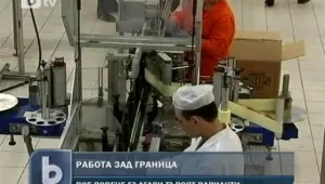 Все повече българи изкарват хляба си в чужбина 