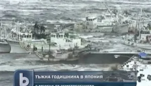 Половин година от разрушителното цунами в Япония 