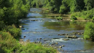 Откриха телата на двете момчета, удавили се във водите на Осъм