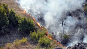 Пожари бушуват в Хасковско