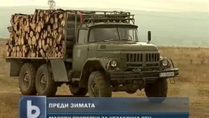 Глобяват за незаконна сеч преди отоплителния сезон 