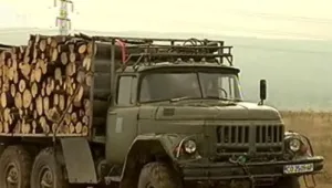 Камиони с дърва блокираха стотици автомобили край Ягодинската пещера  