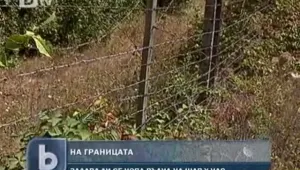 Опасност от шап пришпорва поставяне на заграждения по границата